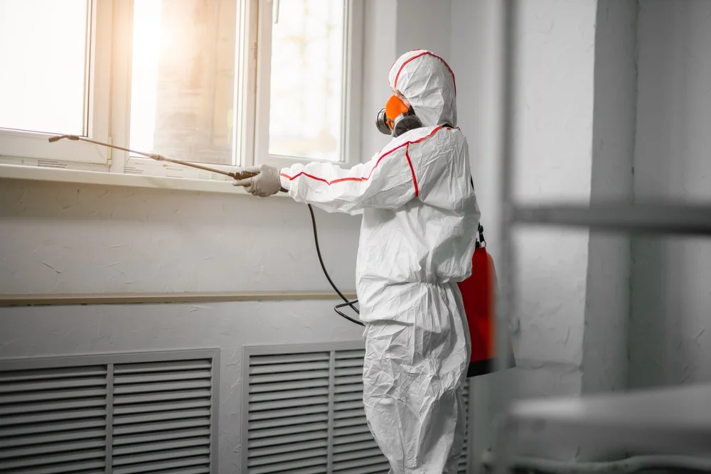 Professional mold remediation services in Westbury, NY